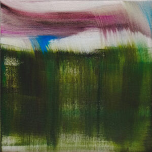 'Where fforest meets the sky'