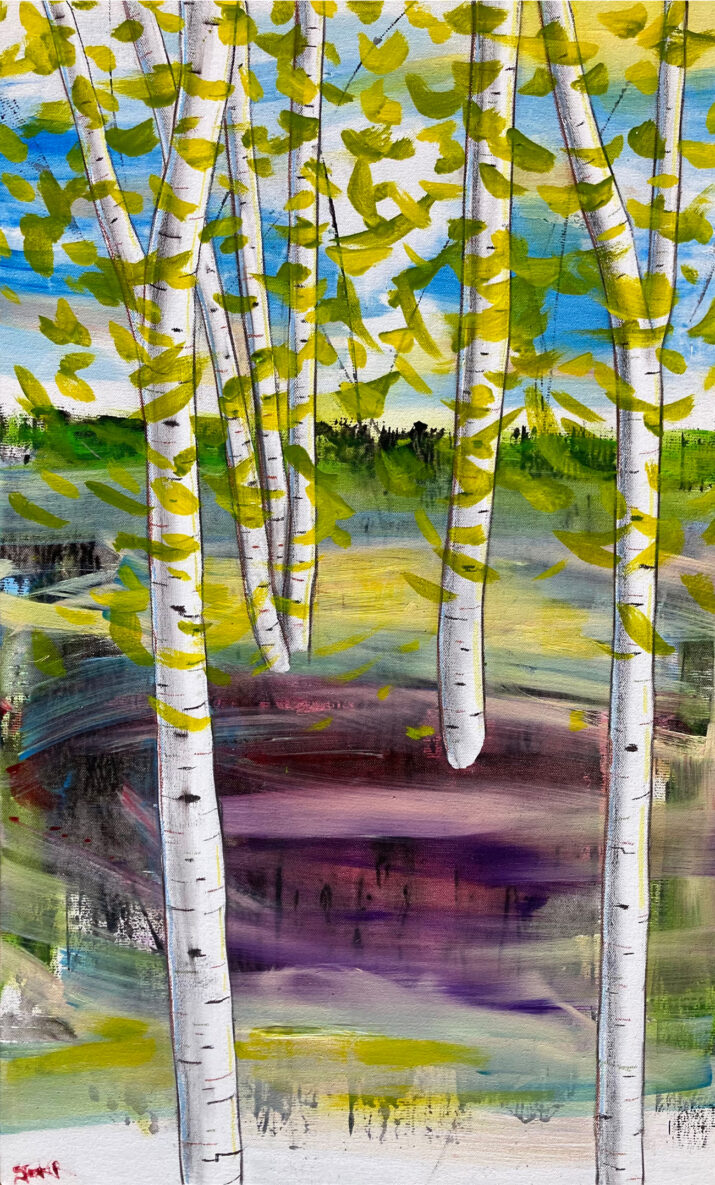 Silver Birches at Midday - Image 2