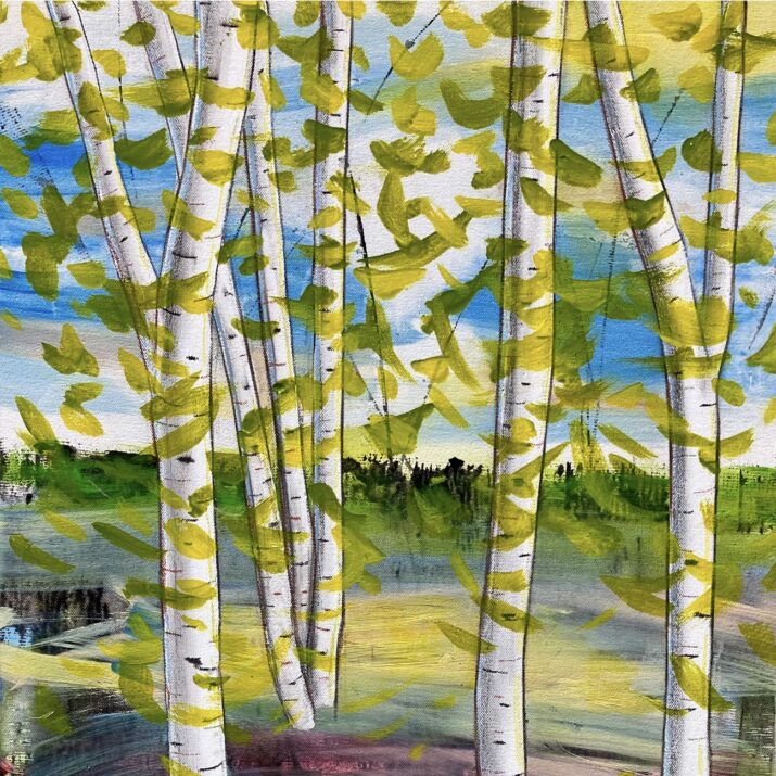 Silver Birches at Midday - Image 4